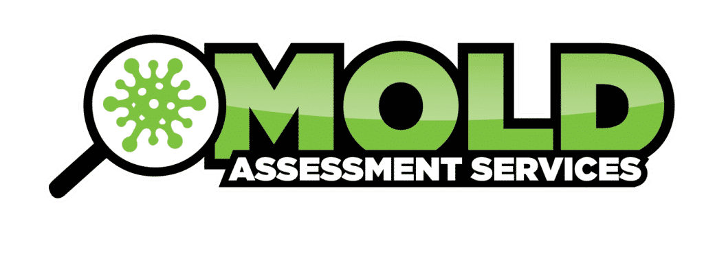 Mold Assessment Services