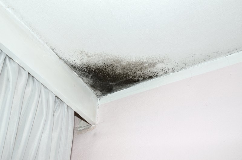 5 Good Advantages of Scheduling a Professional Mold Inspection