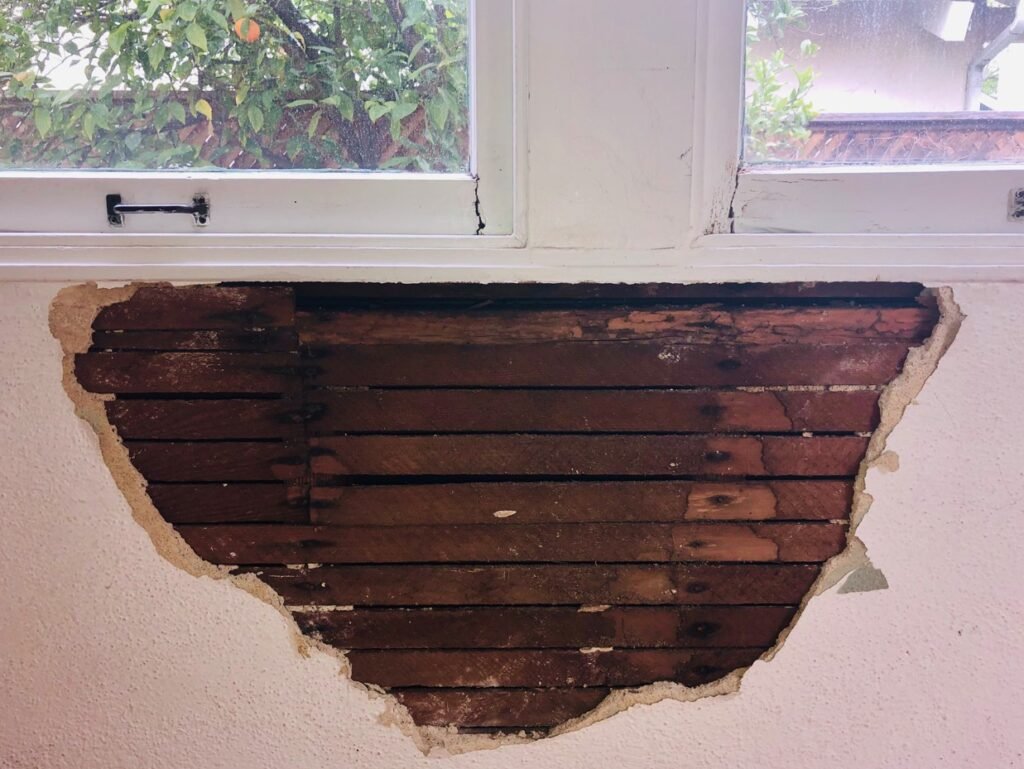 The Hidden Challenge of Florida Homes Need Help with Mold - Mold is a type of fungus that can grow rapidly in damp and humid environments
