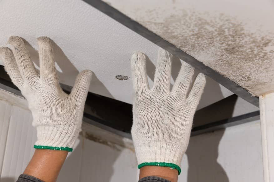 Whether you need an Inspection for Mold in Miami or detailed Coral Gables Mold Testing, our Miami Mold Specialist team has you covered. Early detection and expert guidance help you avoid costly surprises and keep your family safe.