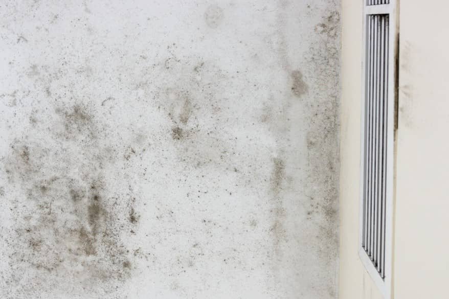 Mold-related respiratory issues are a growing concern in homes where hidden mold behind walls and black mold exposure often go unnoticed. With moisture detection tools and indoor air quality testing, a certified mold inspector can perform mold spore sampling to detect contamination early. Understanding mold inspection cost and the health risks of mold helps homeowners prioritize mold growth prevention and protect their living spaces. When searching for affordable mold testing near me, choosing a licensed mold inspector in Florida is the smartest way to protect your home. Mold Assessment Services offers comprehensive Air and Mold Inspection using advanced techniques for Mold Detection and accurate Mold Testing.