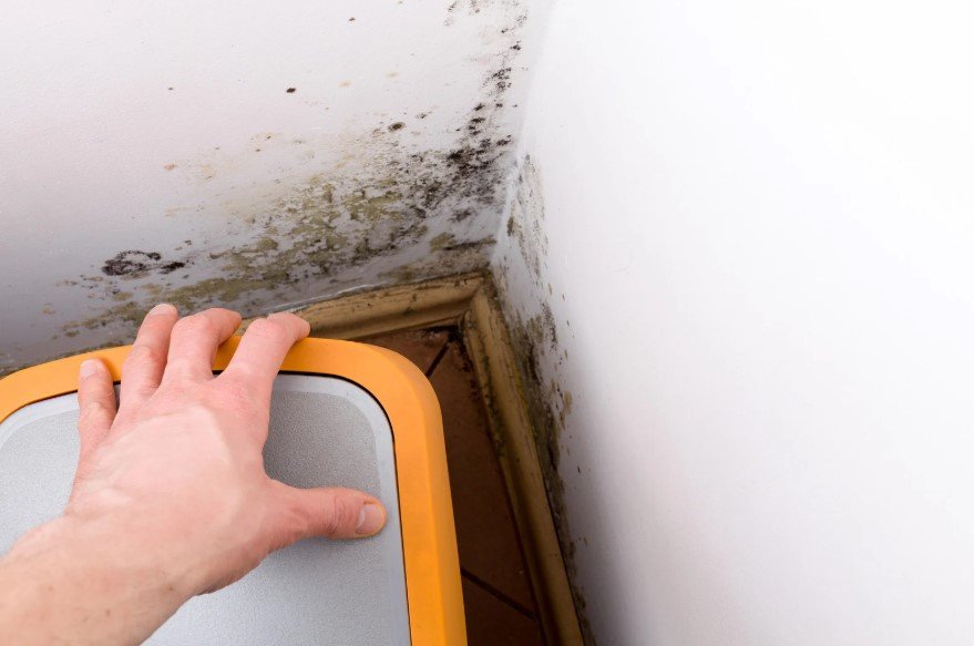 If you’re experiencing symptoms like brain fog, fatigue, or sleep disturbances, it might be time to consider a professional Air and Mold Inspection. At Mold Assessment Services, we specialize in detecting hard-to-find issues like Mold Testing in HVAC systems and conducting thorough evaluations. As a trusted Miami Mold Specialist, we help you uncover whether your home environment is contributing to chronic health issues.