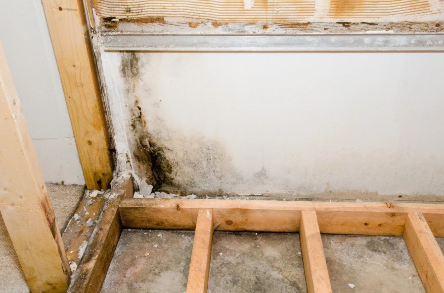Mold Fatigue: Whether you're searching for affordable mold testing near me or need a licensed mold inspector in Florida, our team is here to support your journey toward a healthier home. We offer comprehensive services, including Inspection for Mold in Miami and Coral Gables Mold Testing, using state-of-the-art tools to locate hidden mold. Don’t wait—get the clarity and peace of mind that comes from knowing your indoor air is safe.